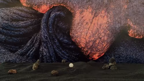 Item #32382354995311206636930955851818118108425029471473268411146207548089057673316 Media