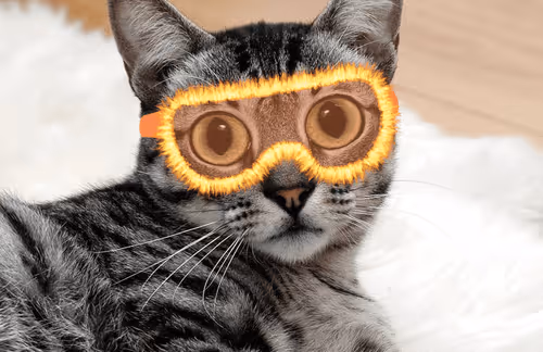 Item #105994270651667822507653852532525861345332119139373422546481695564118838214657 Media