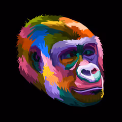 Item #67217545335496974056275281731826466771421458450474255317525143665056659013633 Media