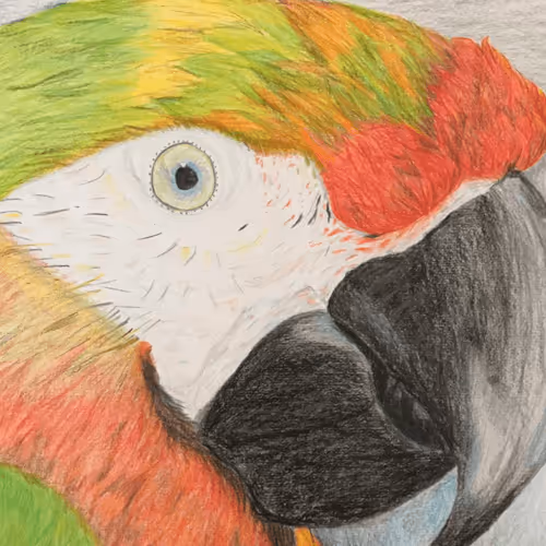 Item #52624328180431249153637500034769542008704668623086006757235497528773501255681 Media