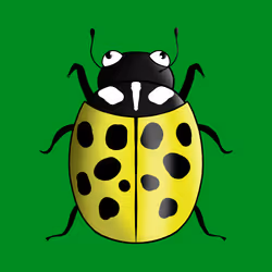 28398129241124612837955504244218552598312943853482854017546028189760385712148