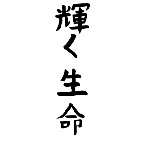 Japanese Calligraphy - Shining Life