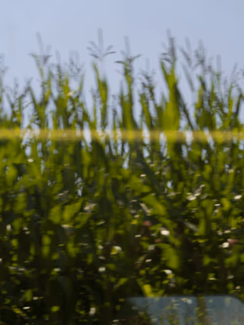 Item #56631410671992674671616436842369211275929346964942698598154381950013994434561 Media