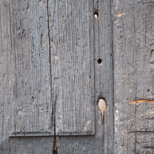 76308435491983099504097783274789726916640920822154394897421291936579934224385