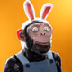 108777904241172021187301954464967453895618207385795006364198582167756655820801