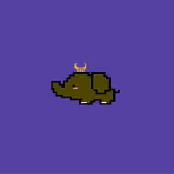 ExoticElephants 4