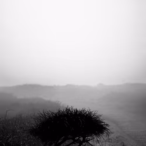 73754067670666287486777451025371723803701293216623981117739972860783865364481