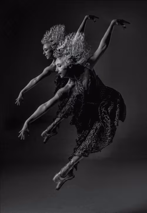 Item #17600324255155483974859458373841560495006206537746897922081710308815892643841 Media