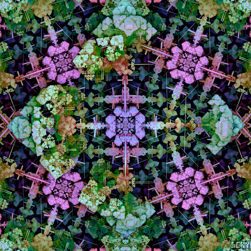 Item #78024336334863053079376686568768157550881486550781440177589673854714672840705 Media