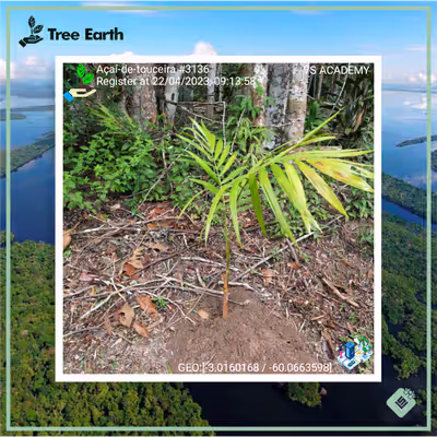 Item #8500196597889277390194123329501889087166328879864934763448349315198011572225 Media