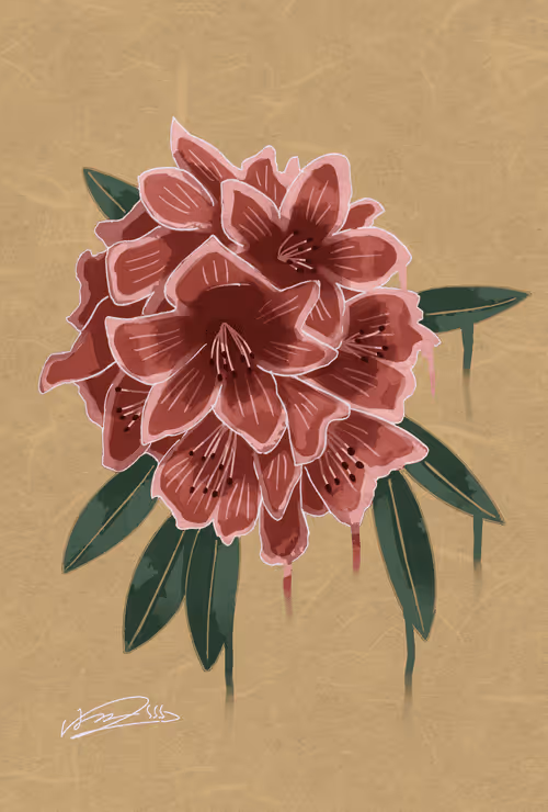 Item #43950495061990051826892666991843951158667042339569101791156585522361037488130 Media