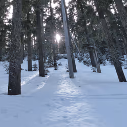 58794710509392551542040062735070557949504527085713565262229554337846845767681