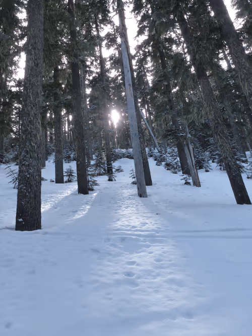 Item #58794710509392551542040062735070557949504527085713565262229554337846845767681 Media