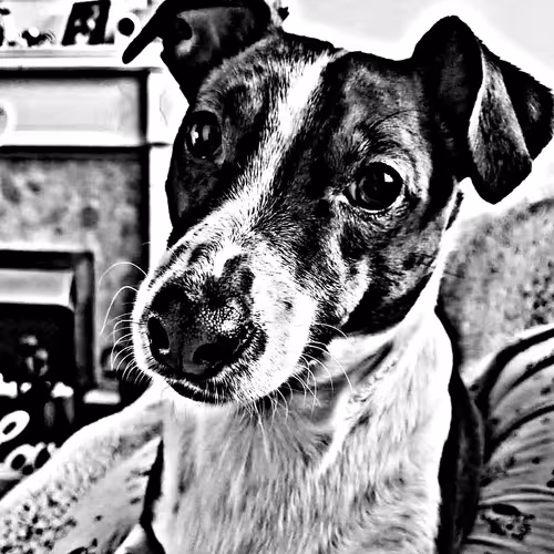 Untitled Collection #151938992