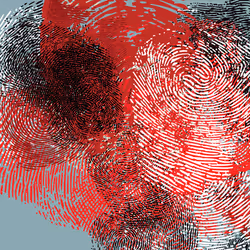 16099289534565677817009981985909100596642615095570704535402562913892147658753