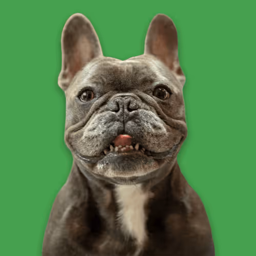 99031261785432219130552668818269695456905868997165113515571762267574184706049