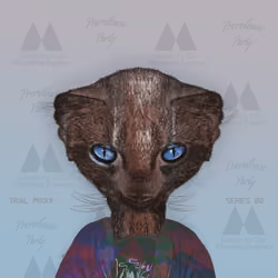 Celebrity Cat Modeling Agency #195