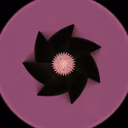 50684197605774142208935566748693813750684281578315025193761267651924581154817