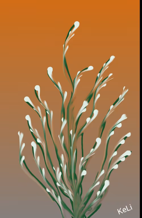 Item #100372621489299438081740613612083099513653390446833448768784776969356335644679 Media