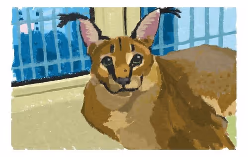 Item #35504472497007445910572531717847387399102977226922778407404856266161607671809 Media