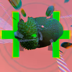 76623402104719609816438437575331766326479587008976687627968337429085816881153