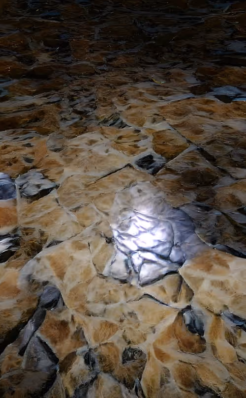 Item #27083344624554825202181109560224417491938066948953543196954621369302332211201 Media