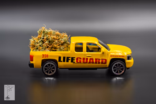 Untitled Collection #444437189