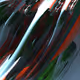107957303988563912299829270674503023895904768268600006620195028111642433945601