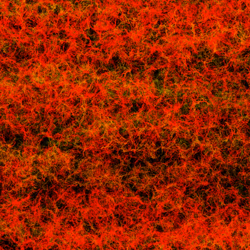 Item #108077581243767832446292835009591553504838420539878885157881208377267820953601 Media