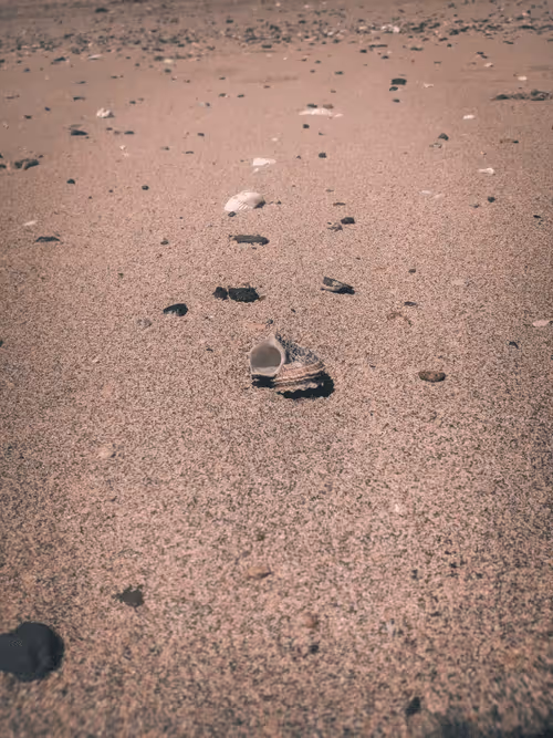 Item #32153802364987129145611654486560917672236906363351108984693106482261092466693 Media