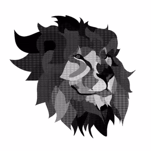 76808927841368939600313884156201850544849189622390050375497696120132597710849