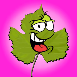 Winky Leaves #17