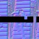 43636035038919378013372252996809021883015515334432412485669932972177857970177