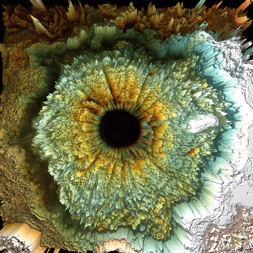 Item #47993365230904546224908061961898398429308184507692648287352000457559393697793 Media