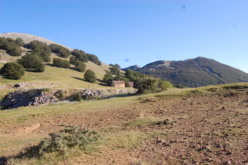 Item #56287055780979128950245095664156082691230445151418642547794192053009511350273 Media