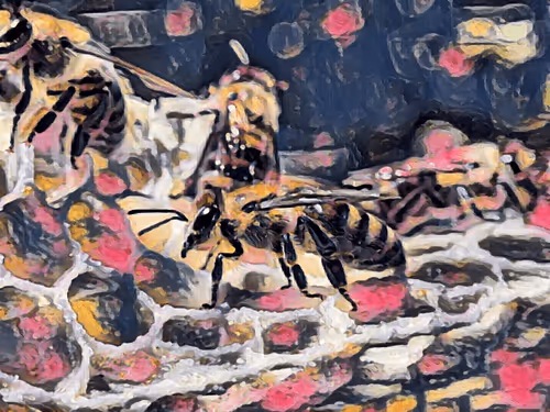 Item #101599579626109009666607068920778550362968334718480795982881728484759664852993 Media