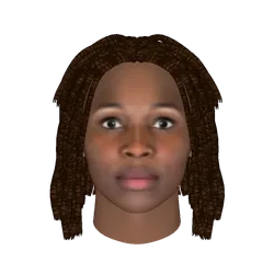 Video of Humanoids combined simulation