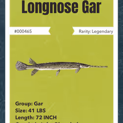 43502264269384842523243150070095810631836830099831581701628992092298920591361