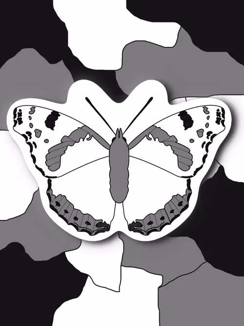 Item #26695375726130491819846042962505402337385115040526357390892607897324702662657 Media