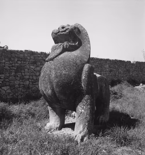 Item #111806424926769274305248982457628036546571415003259052293440347206222753048336 Media