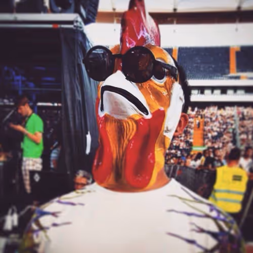 swag chicken