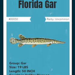 43502264269384842523243150070095810631836830099831581701628991968054106652673