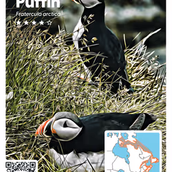 26102390610025884852824728088708208703251930988161684574571712835195534049285