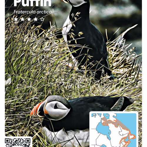 26102390610025884852824728088708208703251930988161684574571712835195534049285