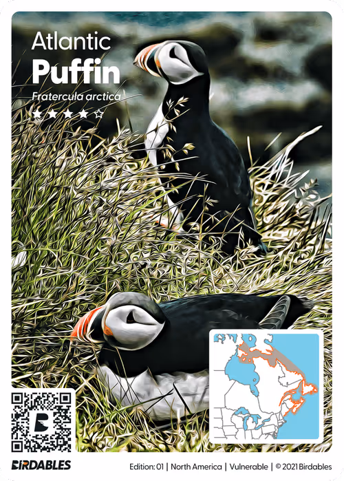 Item #26102390610025884852824728088708208703251930988161684574571712835195534049285 Media