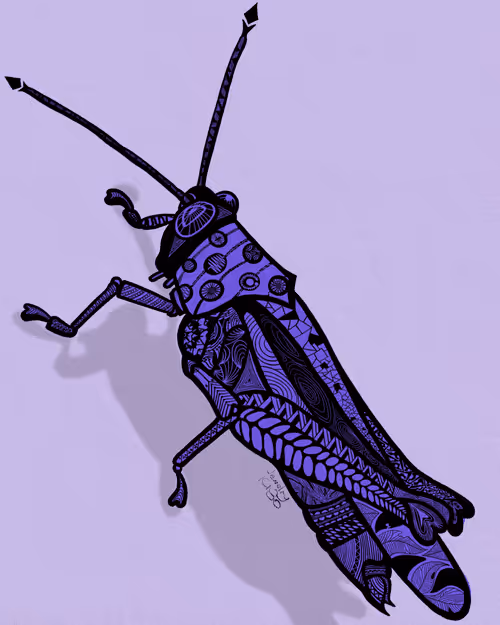 Item #2141876490357759120430650073325956874644020844603919275595865711532652363777 Media