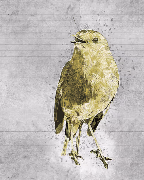 Item #11276162529628641556553056529614973332754405277106184420845745598566754156545 Media