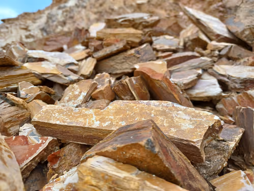 Item #32708508987210996203505439108186848896243903998336501445034175500230812762113 Media