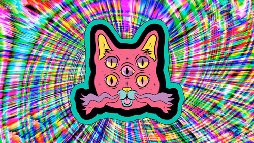 Item #69477571875040438615055638832893646430806743384450720947160481482284539576321 Media