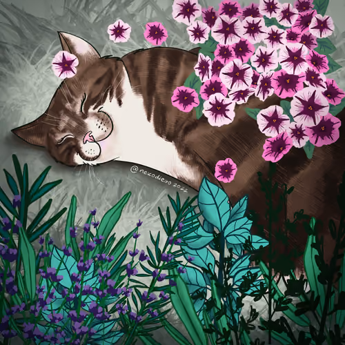 Torum Pets – Freya